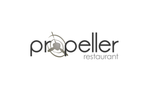 propeller portfolio logo
